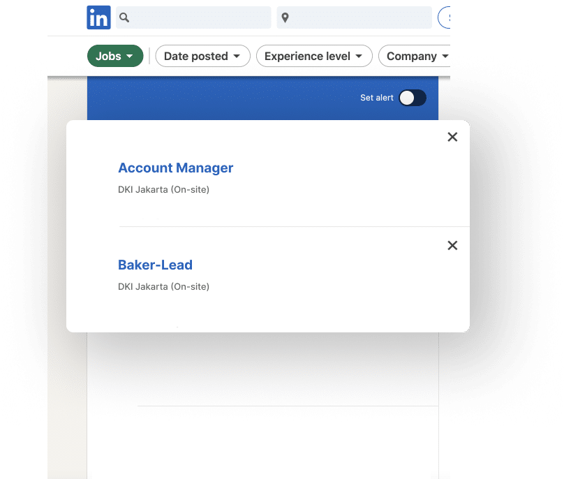 LinkedIn Integration